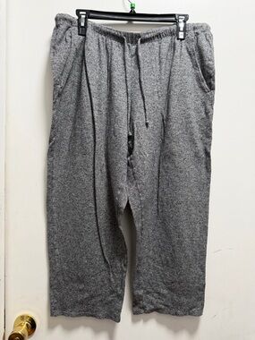 EILEEN FISHER Pants Sz M Hemp Organic Cotton Jersey Melange Slouch Cropped Gray